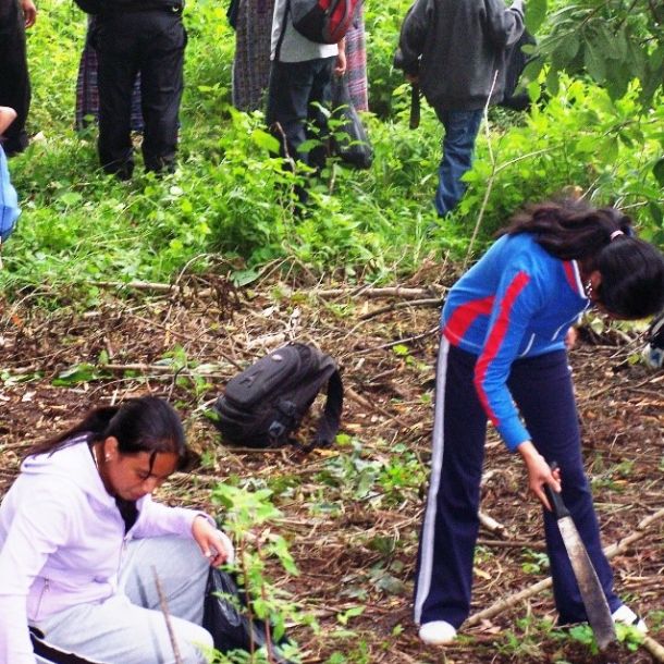 EDUCACIÓN AMBIENTAL