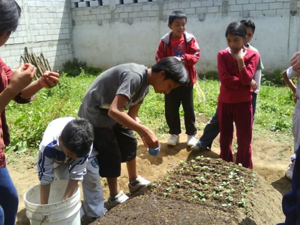 PROGRAMA ESTRATEGICO MEDIO AMBIENTE